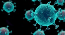 美国开始调查新型冠状病毒 关闭研究所原因是什么
