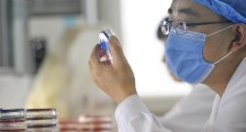 日本调查新冠病毒来源 美国专家否认是人工合成