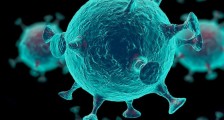 美国确认了病毒来源吗 专家承认疫情源头从大自然散发