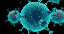 美国新发现承认病毒起源大自然 新型肺炎怎么爆发的