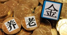 2020年不会涨养老金吗 来看下上调最新消息