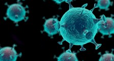 美国找到新冠病毒来源了吗 有证据表明并非来自实验室