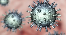 美国确认了新冠病毒来源吗 美科学家最新回应来了