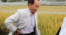 袁隆平称中国不会出现粮荒 粮食供应充足