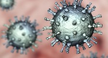 钟南山称新冠病毒基因突变 比流感死亡率高20倍