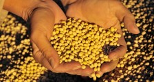 巴西疫情对港口的影响 会波及中国大豆进口吗？
