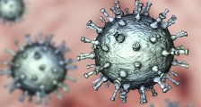 新冠病毒是从美国流出来的？ 美科学家查出了结果