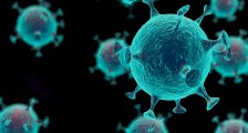韩国发现病毒源头了吗 该国最新疫情数据公布