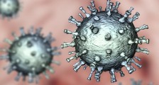 病毒源头找到了吗 世卫组织确定来源于自然界_病毒源头找到了吗