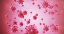 世界上第一例新冠病毒在哪个国家 病毒来源查清了吗_世界上第一例新冠病毒在哪个国家