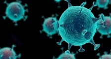 病毒源头找到了吗 最新调查结果发现5种毒株来源美国_病毒源头找到了吗