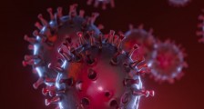 美国确认了病毒来源吗 美疾控中心：主要来自欧洲