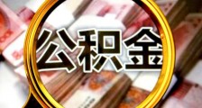 公司的公积金可以不买吗 职工们注意了