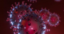 张文宏称艾滋病比新冠更狡猾 HIV有治疗药物吗?