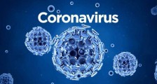 新冠肺炎病毒到底是不是来源于美国？全面揭露新冠病毒事件的起源传播和爆发的真相