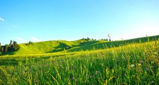 邱林:前总统东山再起,斯里兰卡或更靠拢中国