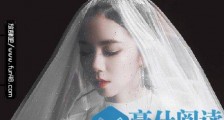 可惜我们终于来到一个句号窗外不愿飞的蜂鸟也在哀悼是什么歌