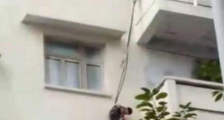老人绳吊外孙救猫现场图曝光太惊险 老人绳吊外孙救猫详细经过曝光