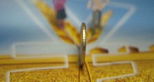 2020粮补每亩多少钱? 大豆迎来很高的补贴
