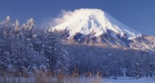 新冠病毒在日本严重吗 疫情对其经济冲击有多大