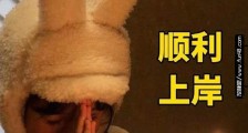 2020年心愿单表情包