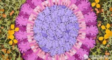 肺炎疫情最新消息：新冠病毒的命名和新冠肺炎疾病的命名有点乱！