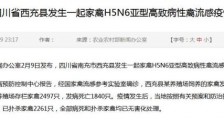 四川西充禽流感疫情:四川西充县发生家禽H5N6亚型高致病性禽流感疫情