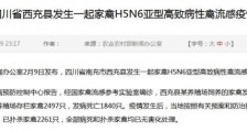 四川西充禽流感疫情：四川西充县发生家禽H5N6亚型高致病性禽流感疫情