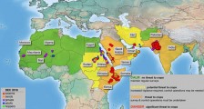 蝗虫灾害横跨印度洋从非洲到亚洲,蝗虫灾害会不会在我国大规模爆发？