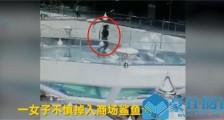 女子掉入鲨鱼池怎么回事 女子为什么掉入鲨鱼池结果如何【图】