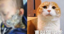 脸烫伤敷猫毛治疗怎么回事 详细经过令人震惊结果悲催了