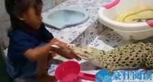 3岁女童与鳄鱼做朋友 其与鳄鱼共浴同睡视频走红网络