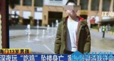 13岁网游少年之死真相解读 大家都不相信这样的事实【图】