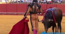 杀公牛前擦干血泪怎么回事 斗牛士擦干血泪举动引发争议