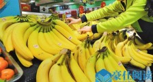 香蕉里有巨型蜘蛛 它“安家”于超市顾客们被吓得尖叫