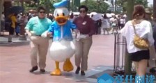 迪士尼赶鸭子上架是什么梗 这一幕画面让多少人爆笑不已