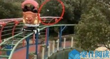 游客误将手机投喂棕熊 详情经过曝光两棕熊争吃苹果手机