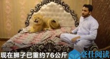 小伙在家散养狮子 小伙在家竟与狮子同做这些事引人惊