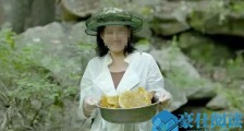 网红称深山卖土蜂蜜 网红杨霞火了谎言被揭穿令人傻眼