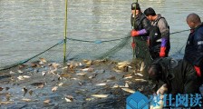 高校捕鱼3万斤怎么回事 请全校4万师生免费吃场面壮观