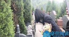95后女孩代人扫墓怎么回事 详情经过曝光网友两极化讨论