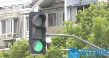 因一句话偷红绿灯怎么回事 偷灯一时爽之后牢房闯一闯