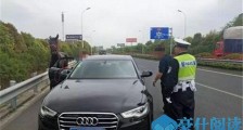 男子开着奥迪遛马怎么回事 现场画面危险又荒唐结果悲剧了