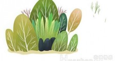 情感咨询:因身体缺陷在感情中很没安全感