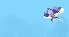 男人免责声明:喜欢你也喜欢别人