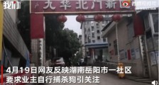 社区要求业主十日内自行捕杀狗?社区书记:一年内有6人被咬,通告已撤