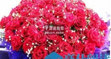 追女生送花的重要原因【恋爱技巧】
