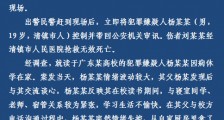 贵阳清镇杀人案原因：19大学生持刀杀害2岁女童