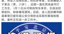 男子驾车夜撞故宫东华门事件通报 嫌疑人资料