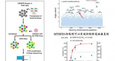 清华等团队发现新冠病毒抑制剂 是什么?具体什么情况?